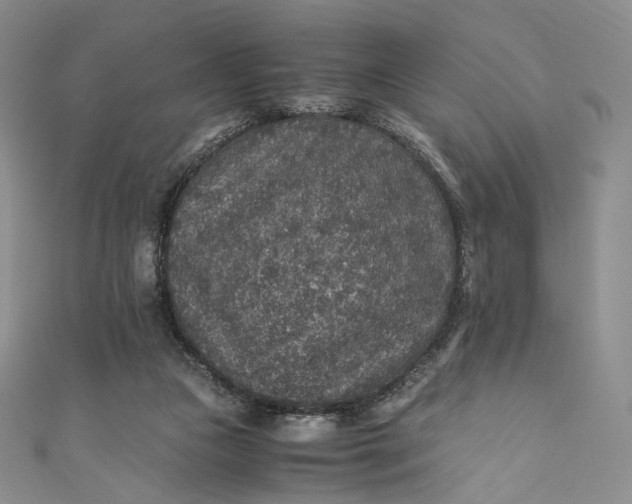 X0000110890161200907021524