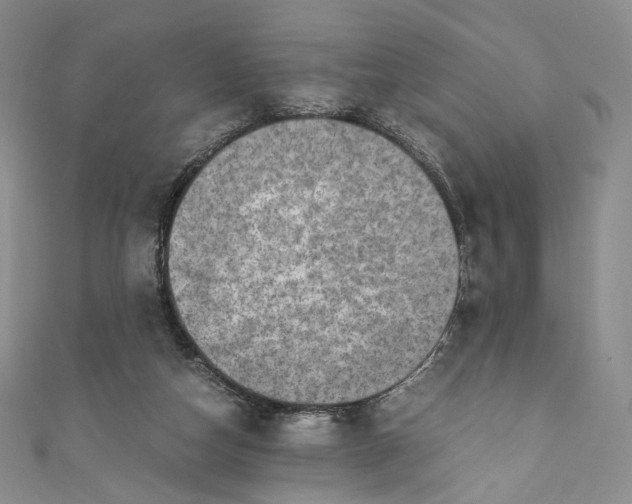 X0000110890162200907021524