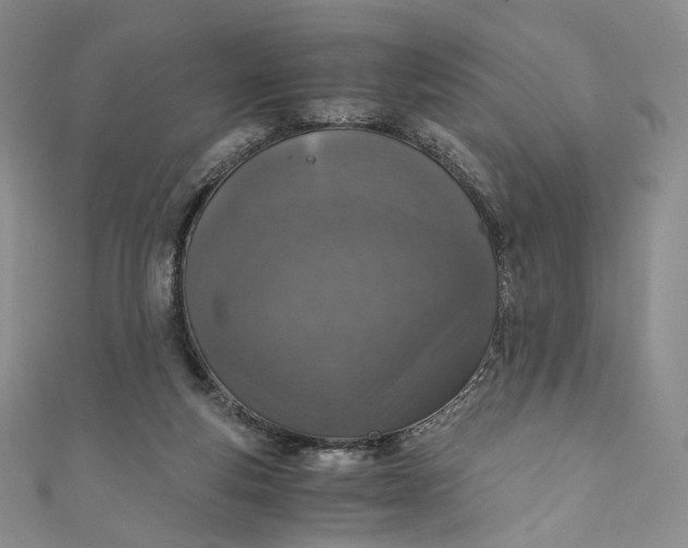 X0000110890163200907021524