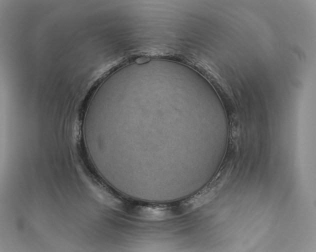 X0000110890164200907021524