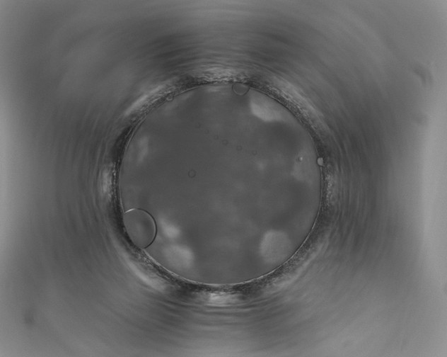 X0000110890165200907021524