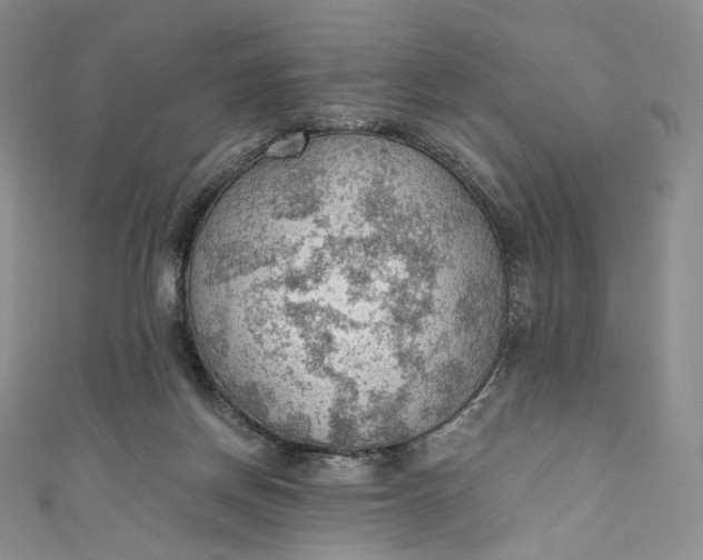 X0000110890166200907021524