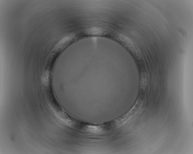 X0000110890167200907021524