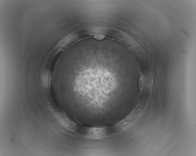 X0000110890168200907021524