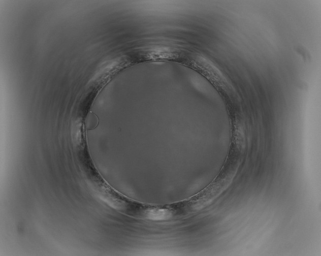 X0000110890169200907021524