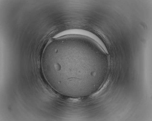 X0000110890170200907021524