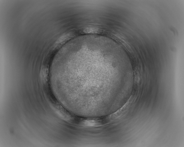 X0000110890171200907021524