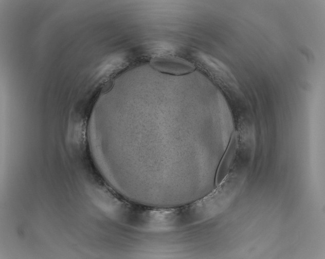 X0000110890172200907021524