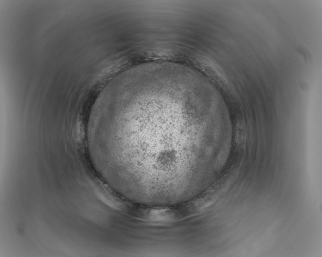 X0000110890173200907021524