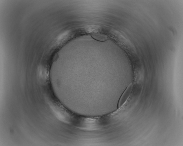 X0000110890176200907021525