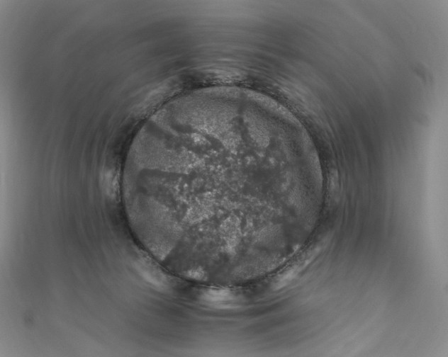 X0000110890177200907021525