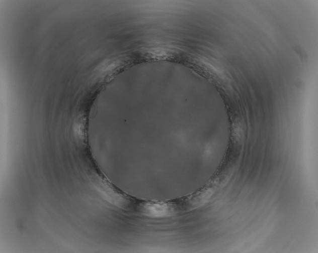 X0000110890181200907021525