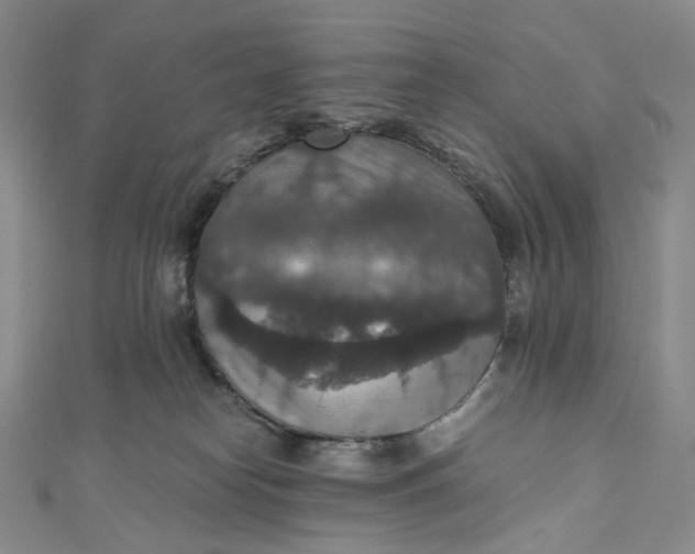 X0000110890182200907021525