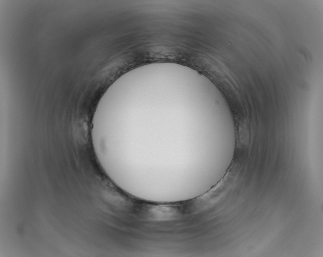 X0000110890183200907021525