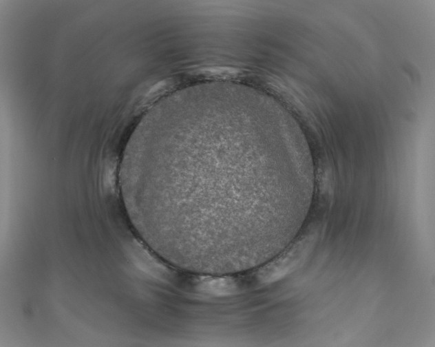 X0000110890185200907021525