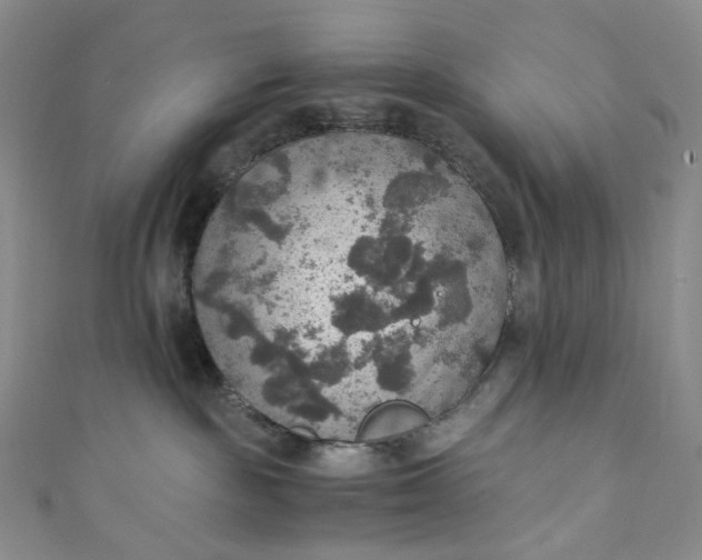 X0000110890189200907021525