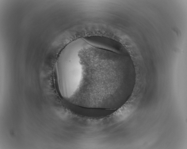 X0000110890192200907021525