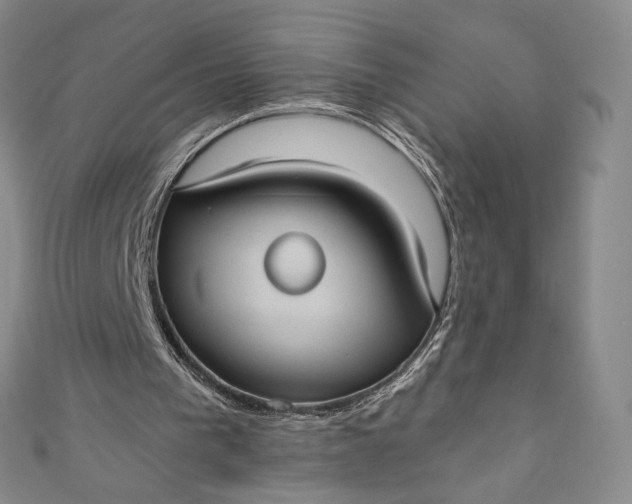 X0000110890193200907021524