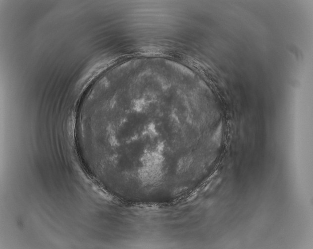 X0000110890194200907021524