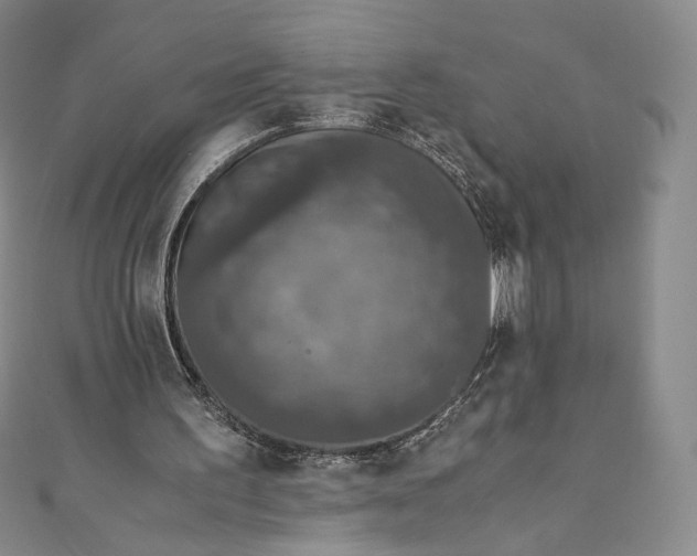 X0000110890195200907021524