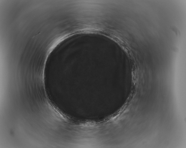 X0000110890196200907021524