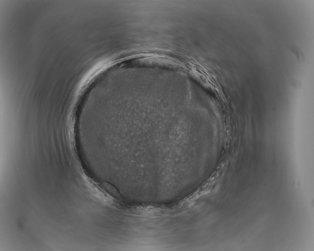 X0000110890197200907021524