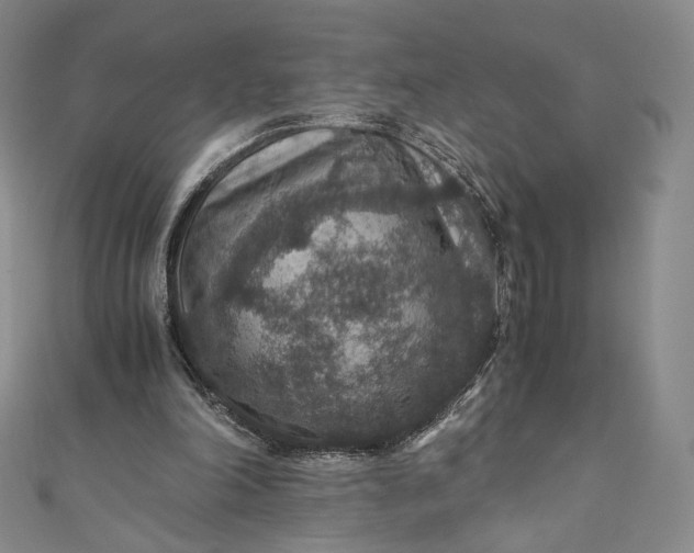 X0000110890198200907021524