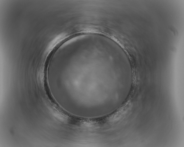 X0000110890199200907021524