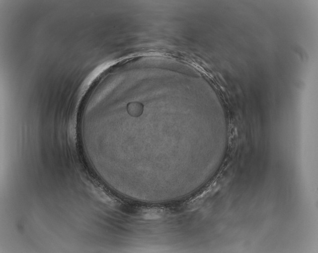 X0000110890200200907021524