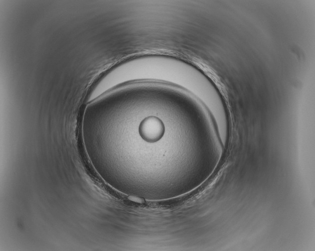 X0000110890201200907021524