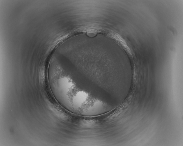 X0000110890202200907021524