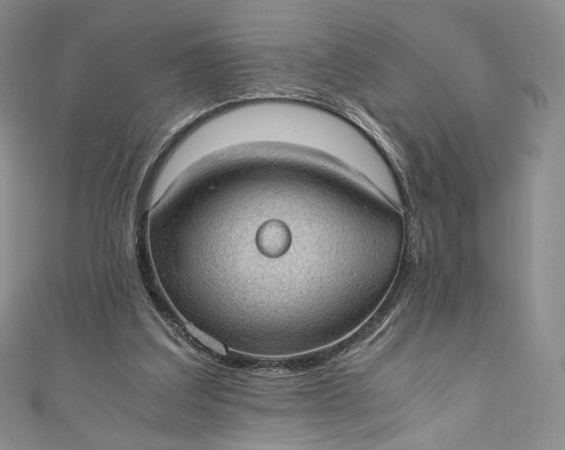 X0000110890203200907021524