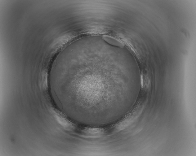 X0000110890205200907021524