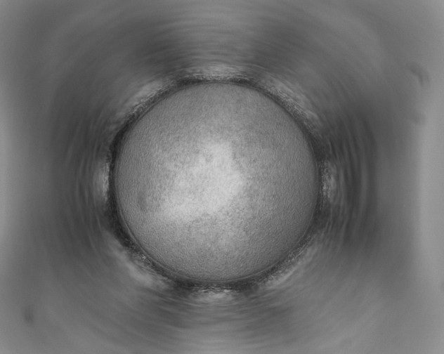 X0000110890206200907021524