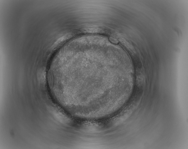 X0000110890207200907021524