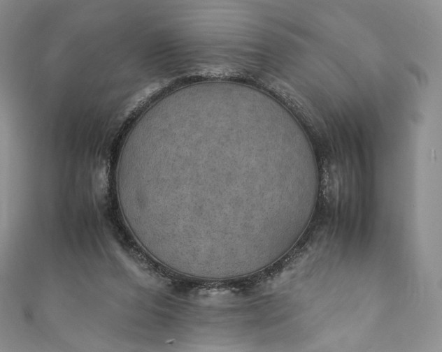 X0000110890208200907021524