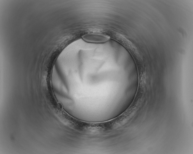 X0000110890209200907021524