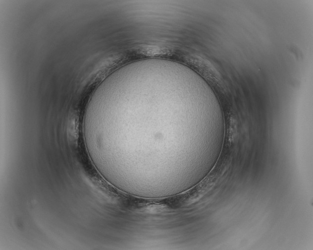 X0000110890210200907021524