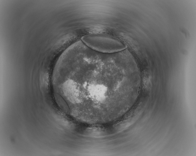 X0000110890211200907021524