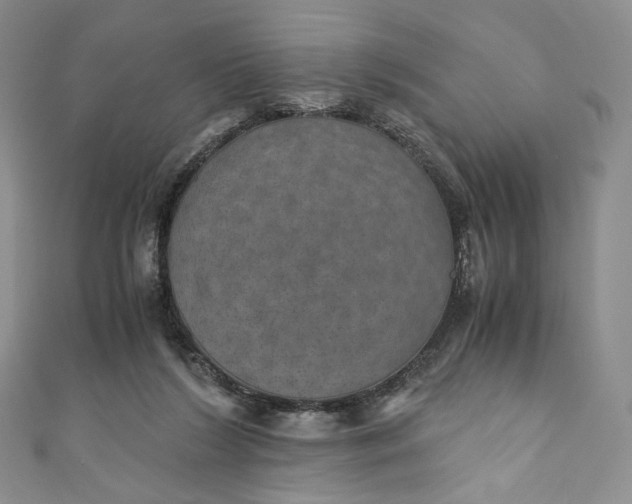 X0000110890212200907021524