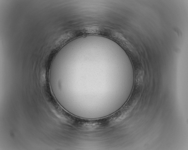 X0000110890213200907021524