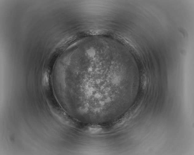 X0000110890214200907021524