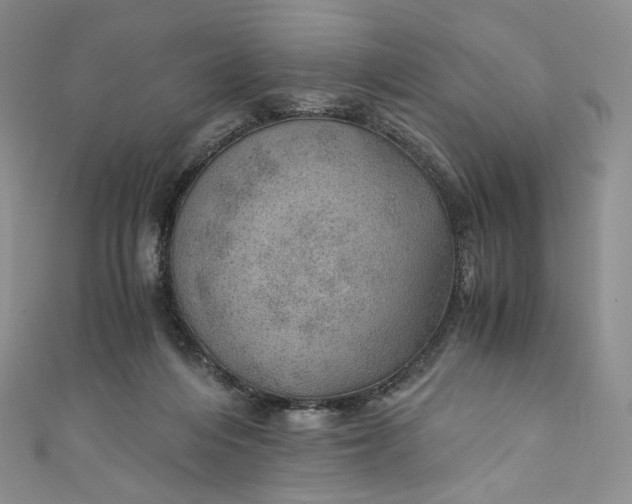 X0000110890216200907021524