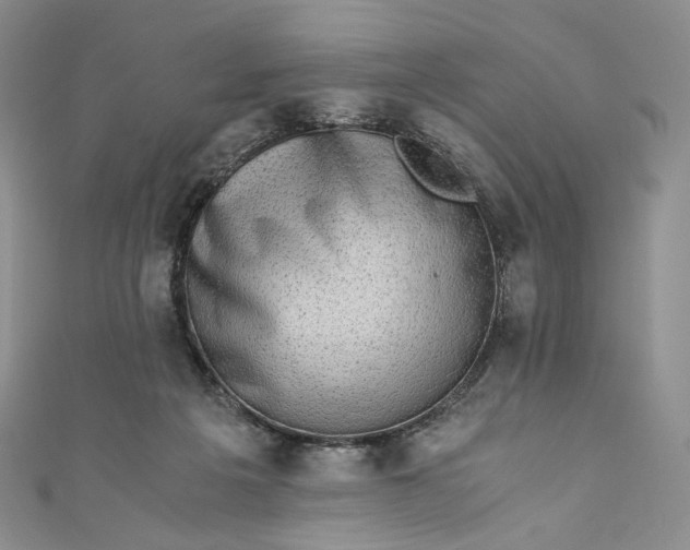 X0000110890217200907021524