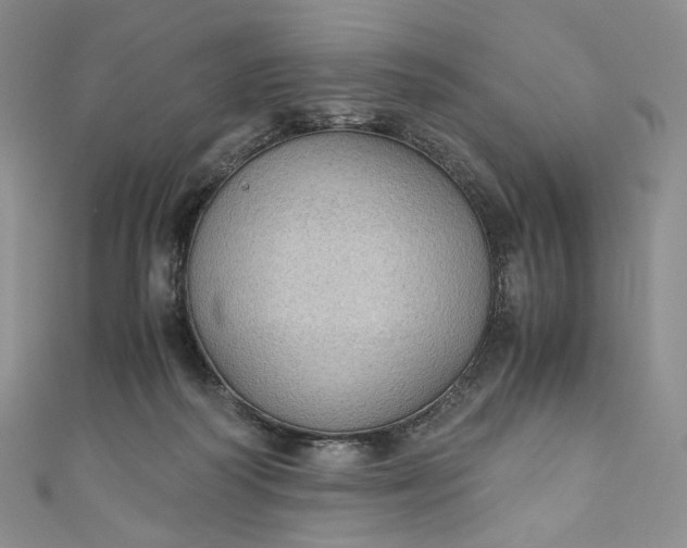 X0000110890218200907021524