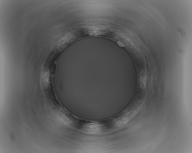 X0000110890219200907021524