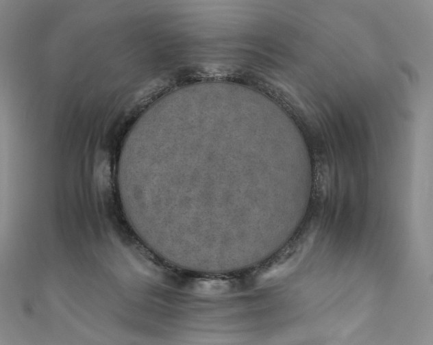 X0000110890220200907021524