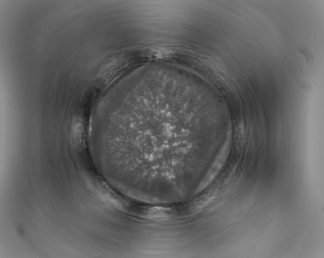 X0000110890222200907021524