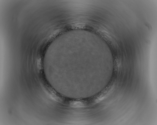 X0000110890224200907021524