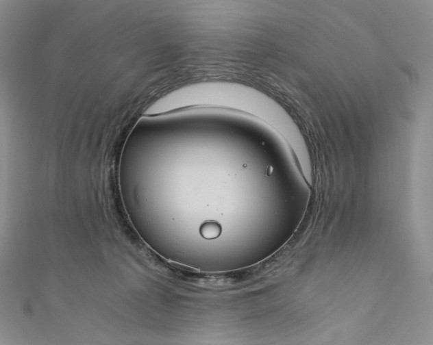 X0000110890225200907021524